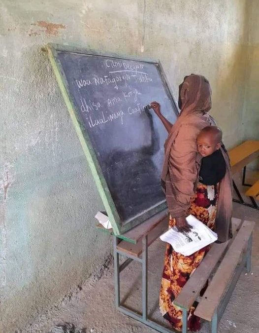 Education and community networks